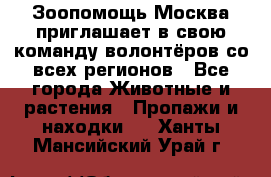 Зоопомощь.Москва приглашает в свою команду волонтёров со всех регионов - Все города Животные и растения » Пропажи и находки   . Ханты-Мансийский,Урай г.